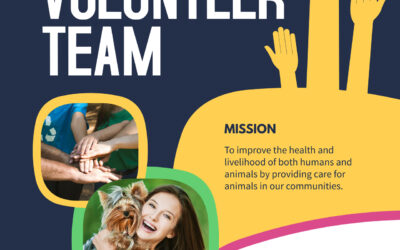 Join Our Volunteer Team at Hudspeth Animal Hospital!