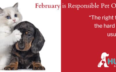 February is Responsible Pet Owners Month